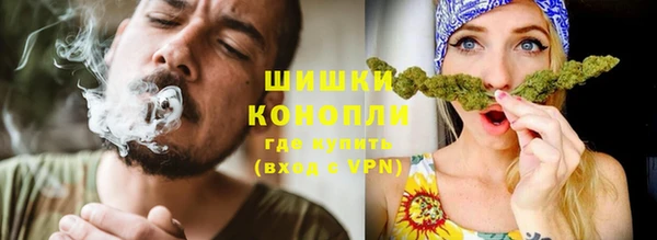 спайс Алексин