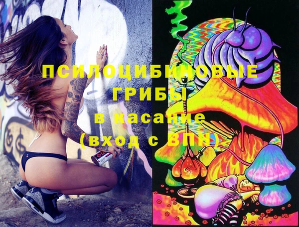 спайс Алексин