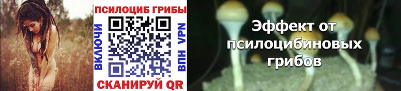 купить наркотики цена  МЕГА   Псилоцибиновые грибы Psilocybine cubensis  Арсеньев 
